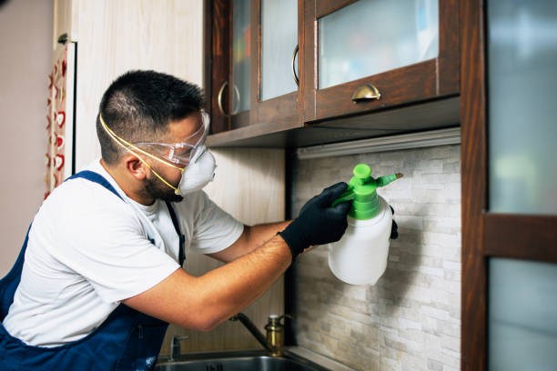Best Wildlife Control Services  in Perris, CA
