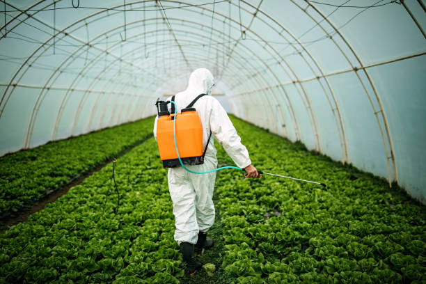 Best Pest Prevention Services  in Perris, CA