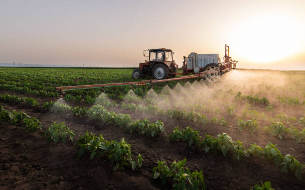 Reliable Perris, CA Pest Control Solutions