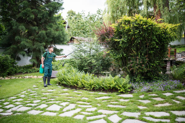 Best Ant Control Services  in Perris, CA