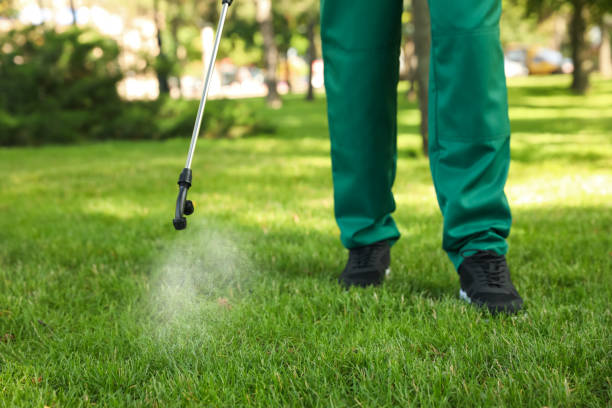 Best Pest Control Near Me  in Perris, CA