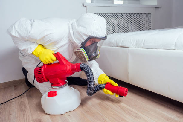 Best Affordable Pest Control Services  in Perris, CA