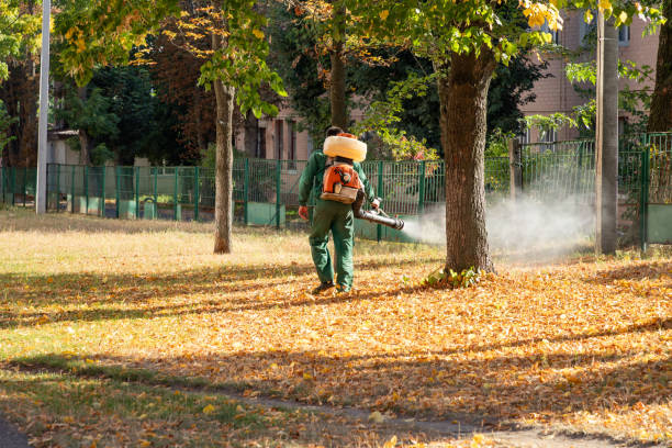 Best Commercial Pest Control Services  in Perris, CA