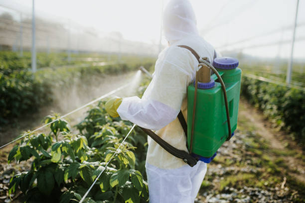Best Best Pest Control Companies  in Perris, CA